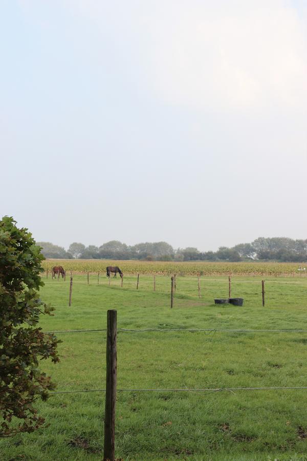 Gastenverblijven Boerderij Het Driespan Middelburg Zewnętrze zdjęcie