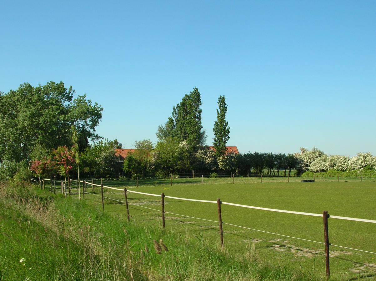 Gastenverblijven Boerderij Het Driespan Middelburg Zewnętrze zdjęcie