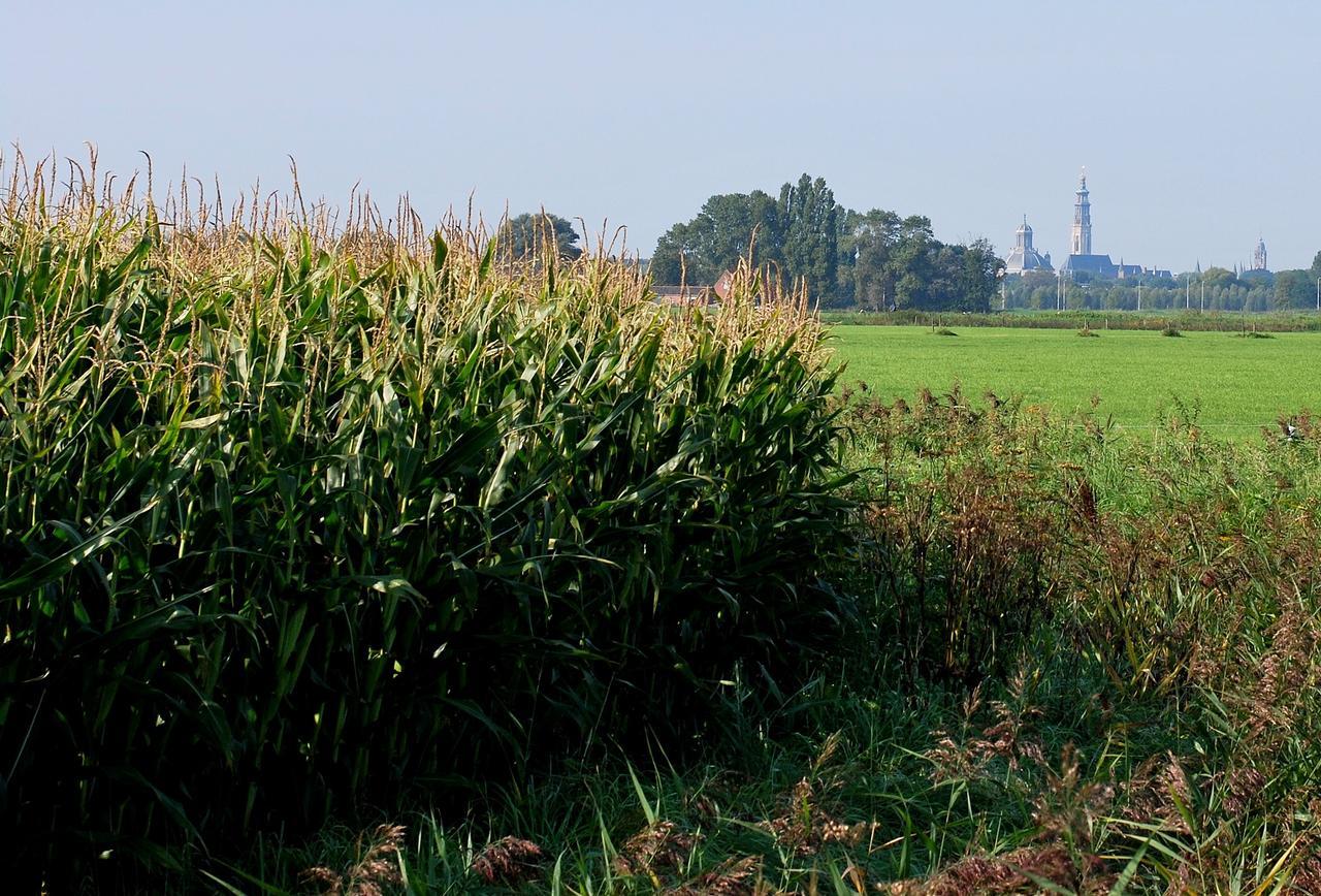 Gastenverblijven Boerderij Het Driespan Middelburg Zewnętrze zdjęcie